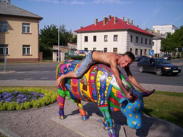 gejpasiv (30)