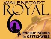 Royal6 (18)