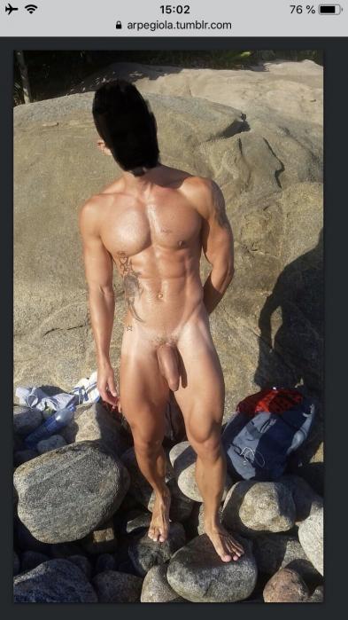 Art (31)