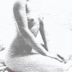 jautri