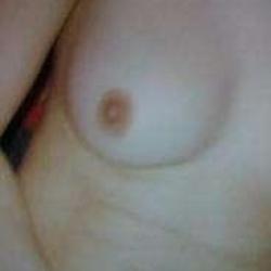 GRIBOSAA