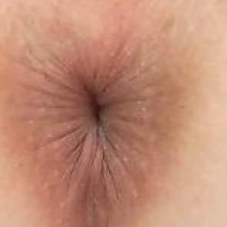 vecpuisis