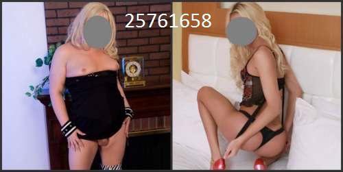 SexyTs (24)