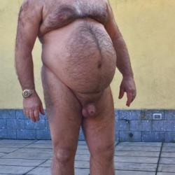bear