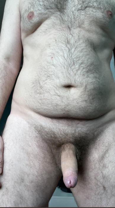 Bear (40)