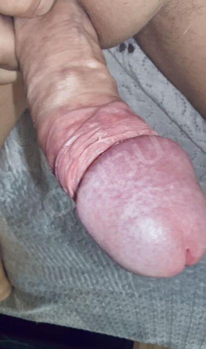 Aleksandrs (40)
