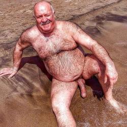 bear