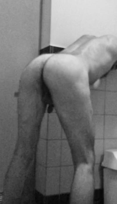 Artis (42)