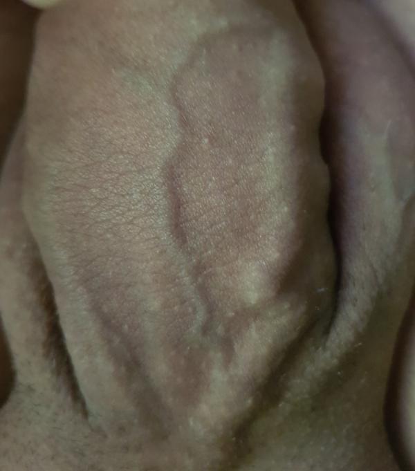 Gustavs (28)