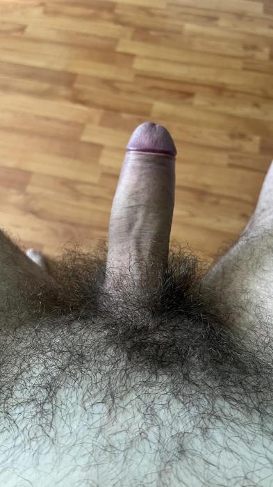 Сегодня (40)