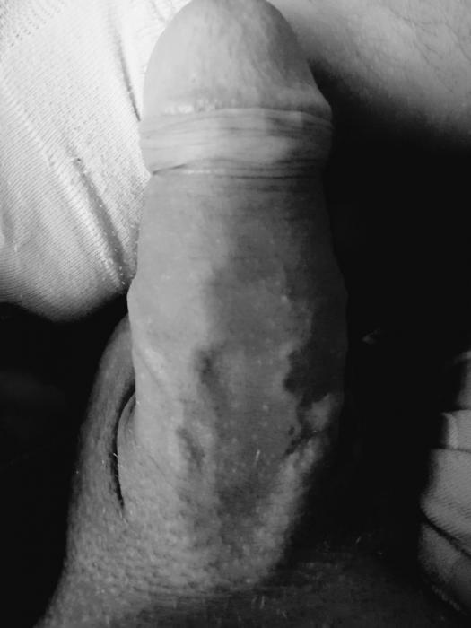 Gustavs (28)
