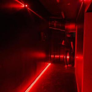 Swinger @ Bunker