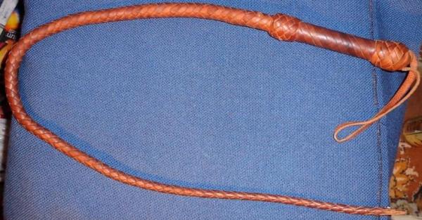 whip (40)