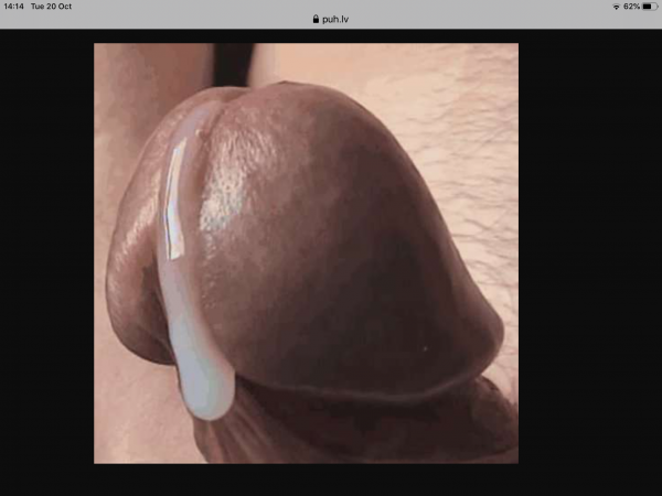 Oral 69 (54)