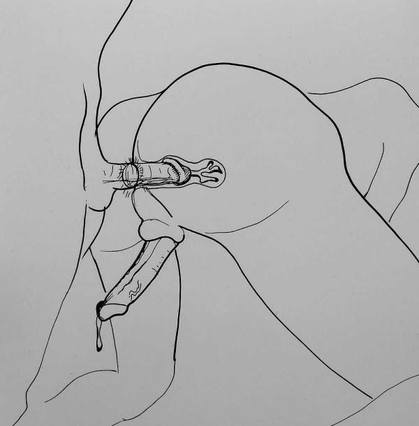 niks (28)