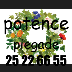 -=POTENCE PIEGADE=-