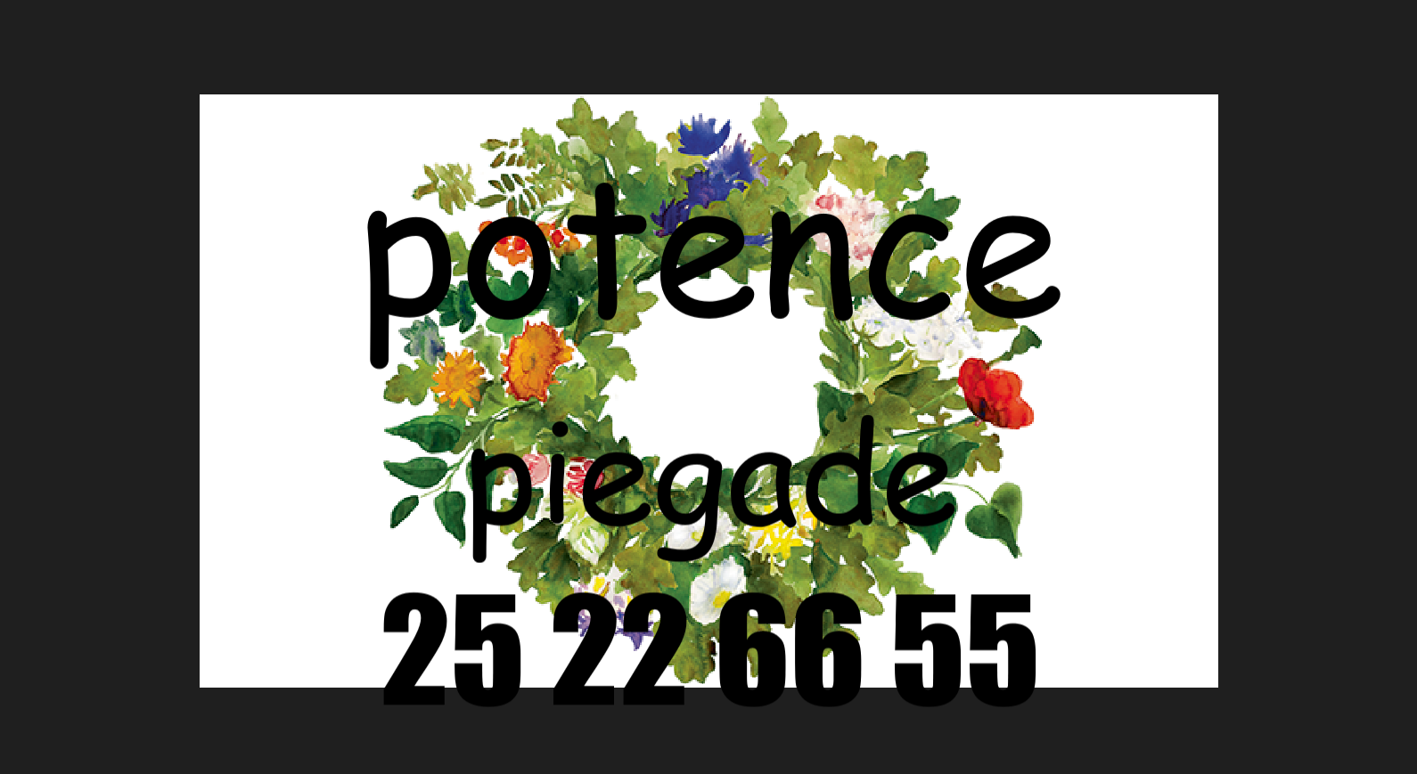 -=POTENCE PIEGADE=- (20)